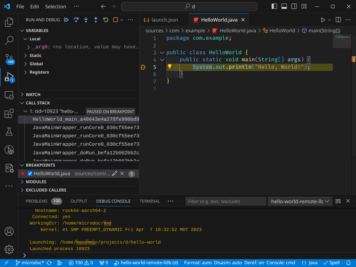 Debugging remote native image using `lldb-server` and Visual Studio Code